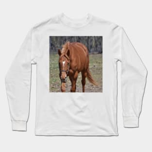 Flaxen Long Sleeve T-Shirt